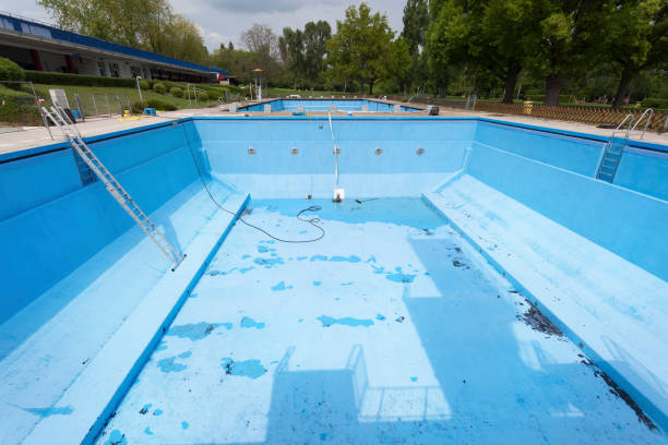 Best Water damage cleanup near me  in Shady Shores, TX