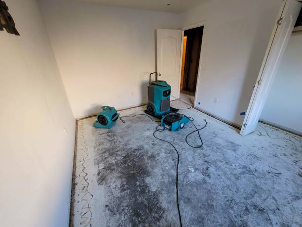 Best Water damage restoration experts  in Shady Shores, TX