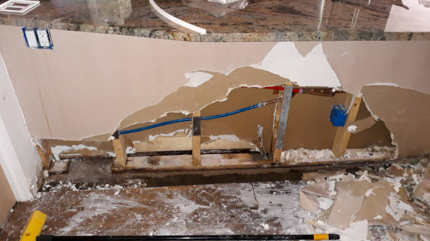 Best Water damage repair service  in Shady Shores, TX