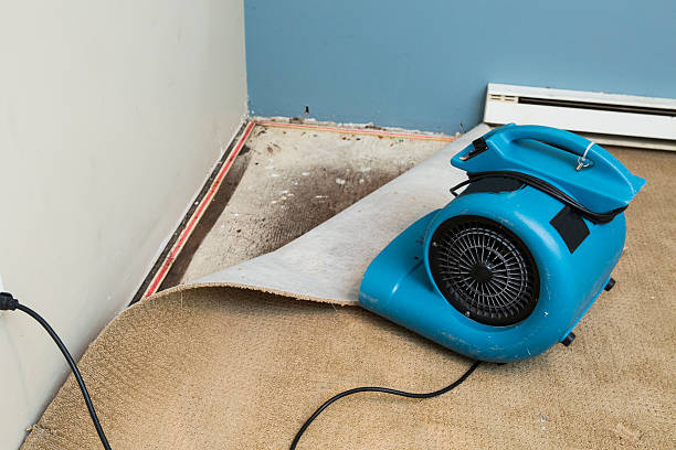 Best Flood restoration services  in Shady Shores, TX